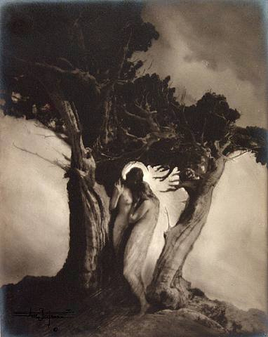 Anne Brigman, Heart of the Storm, 1912 Anne Brigman, Heart of the Storm, 1912