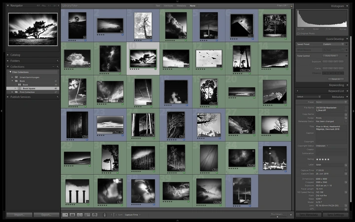 Screenshot of Adobe Lightroom showing marked images