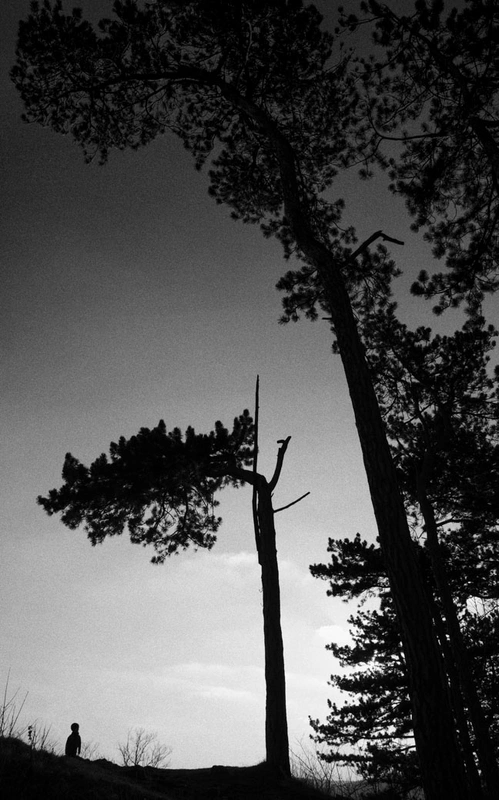 Child & Trees, Jena 2016