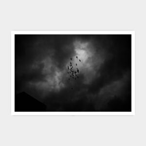 Thirty Three Birds, Jena 2015